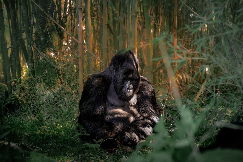 Photograph by Michael Stavrakakis