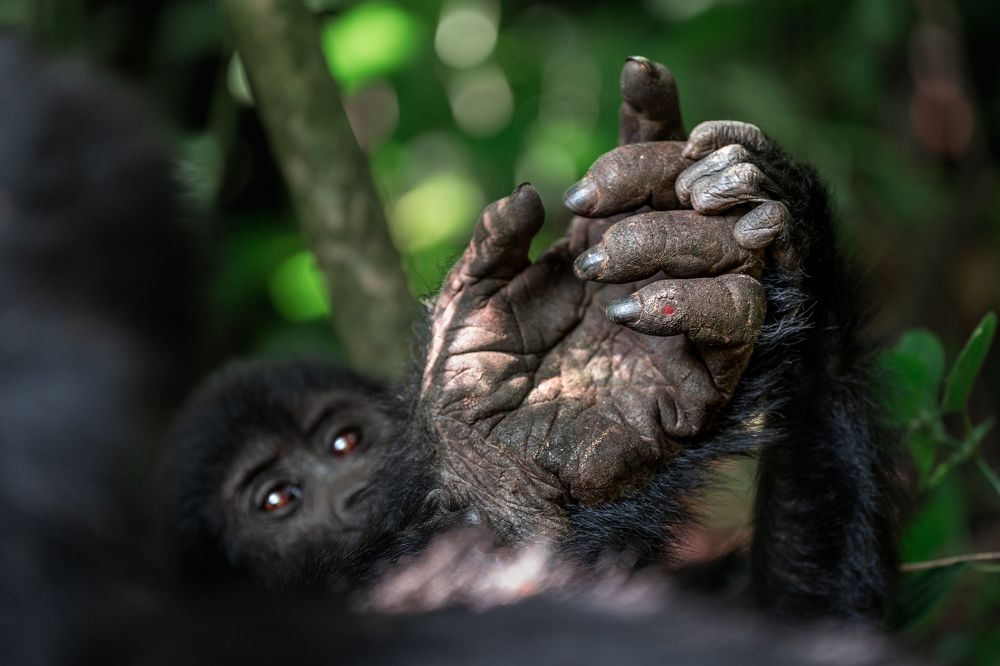 Photograph by Michael Stavrakakis