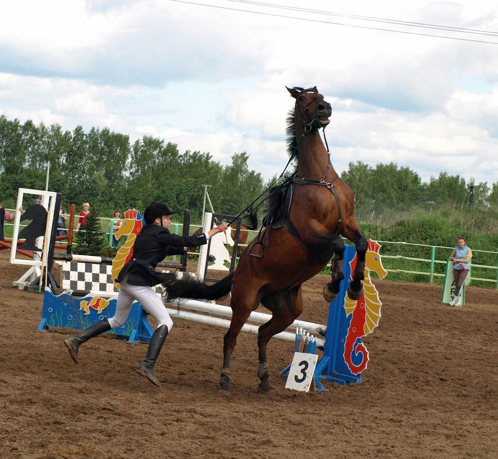 Photograph by Оксана Саранова