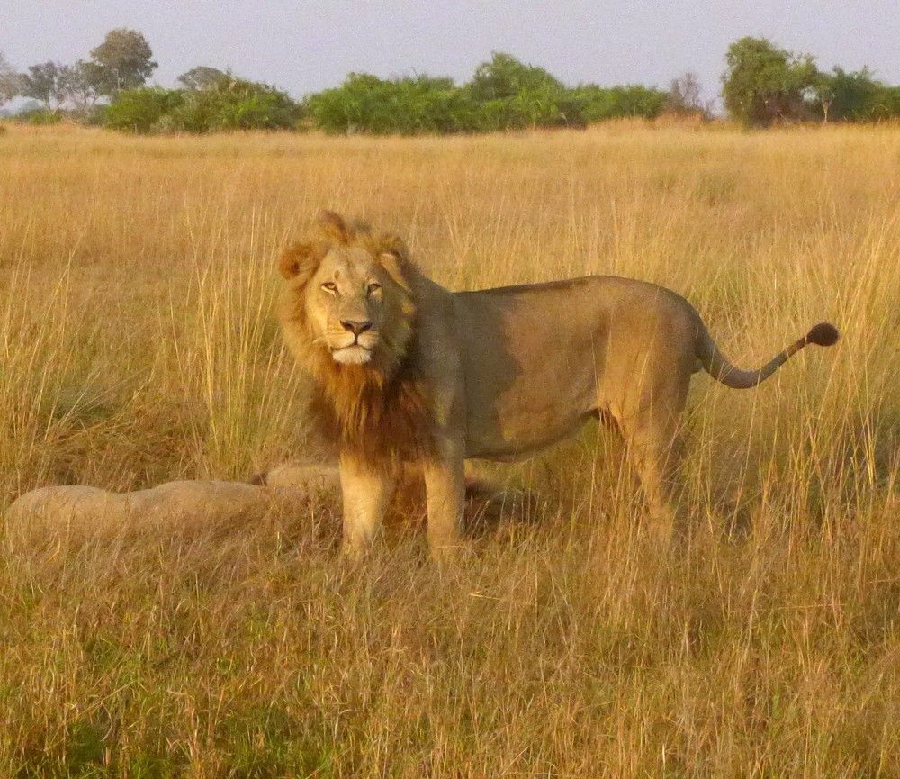 Photograph by Ирина Орлова