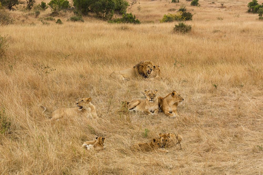 Photograph by Светлана Барабанщикова