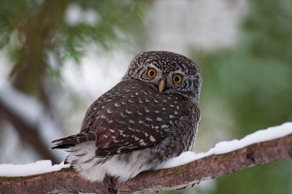 Photograph by Светлана Барабанщикова