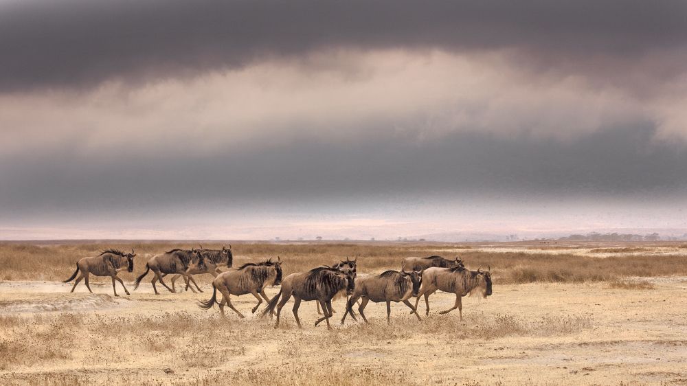 Photograph by Светлана Барабанщикова