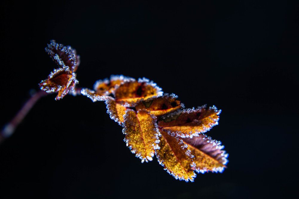 Фотография автора Ирина Гриценко