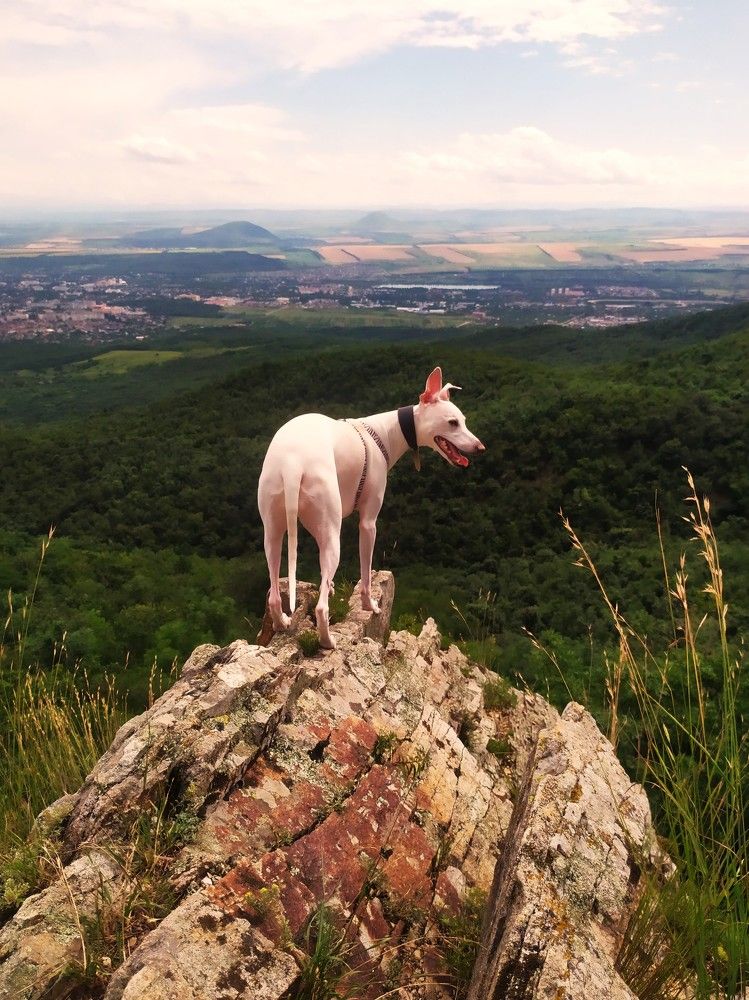 Photograph by Галина Воеводенко