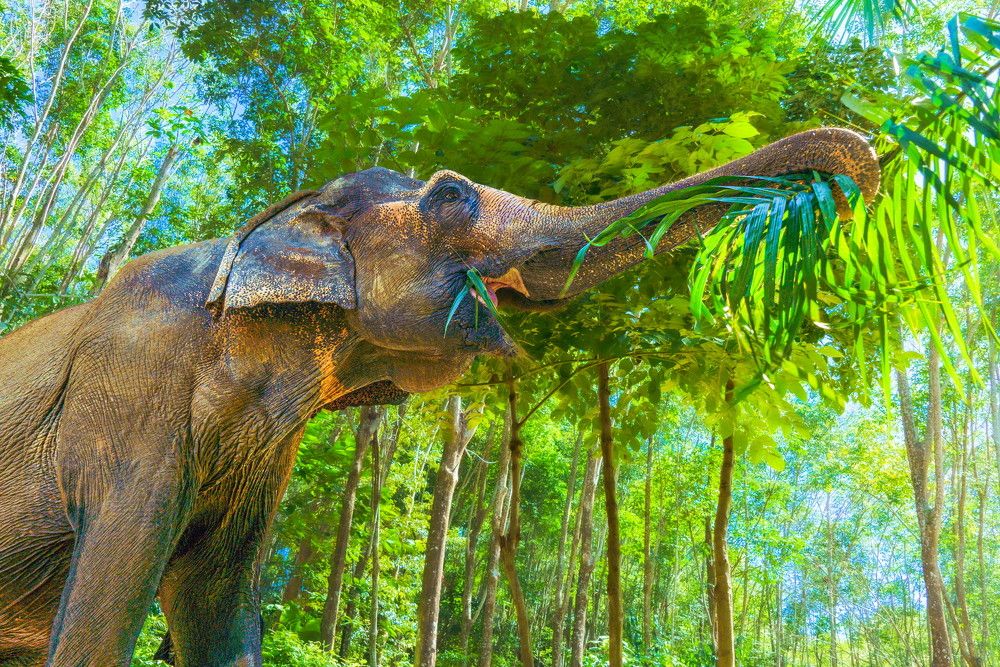 Photograph by Oleg Yuditsky