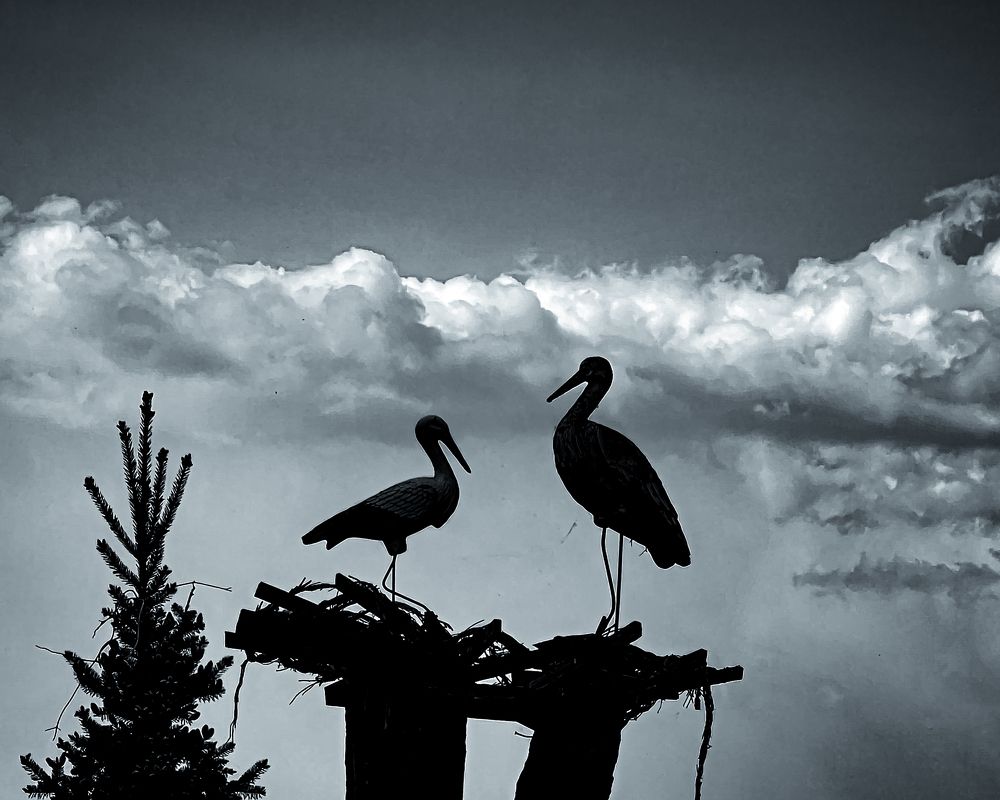 Photograph by Oleksii Pereverziev