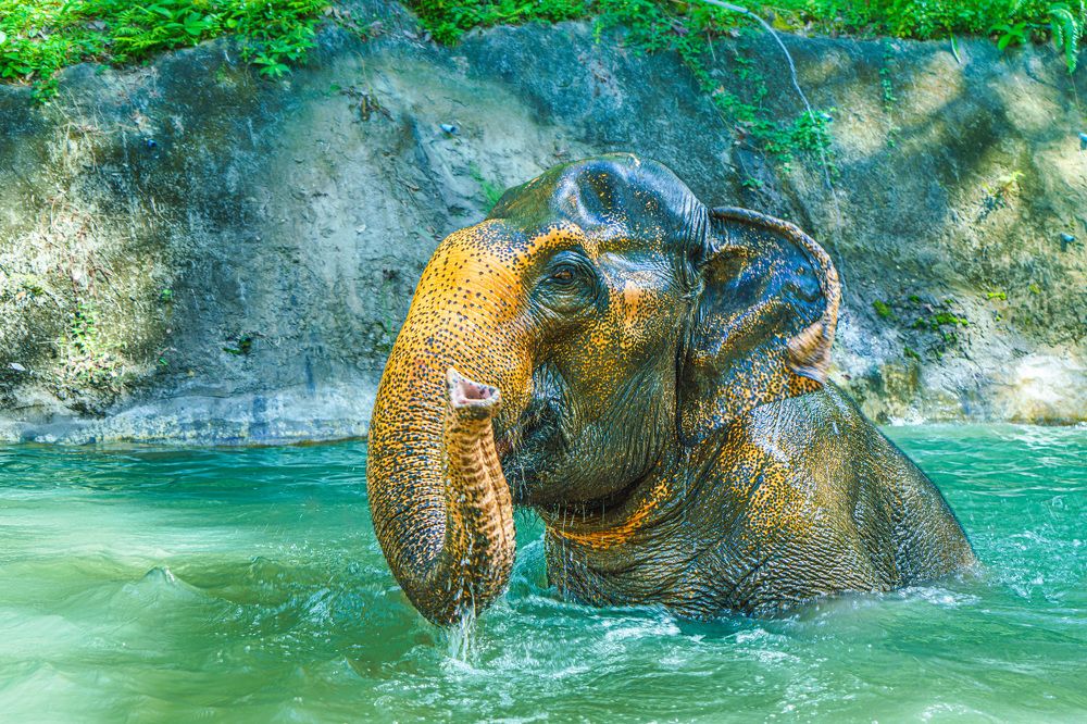 Photograph by Oleg Yuditsky