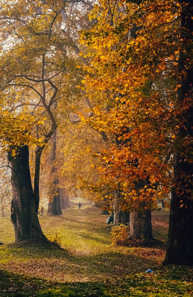 Photograph by Saqib Manzoor