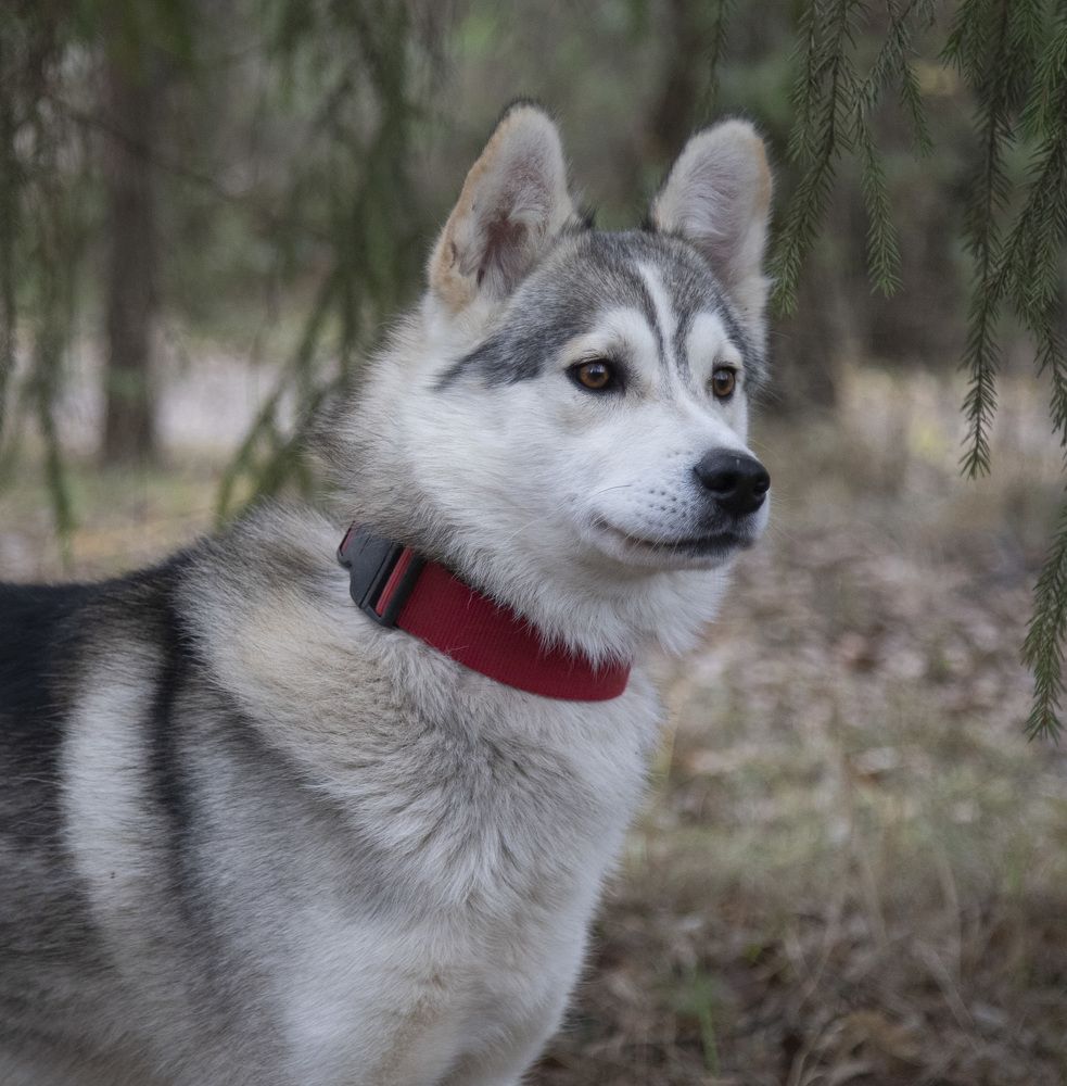 Photograph by Анастасия Рысь