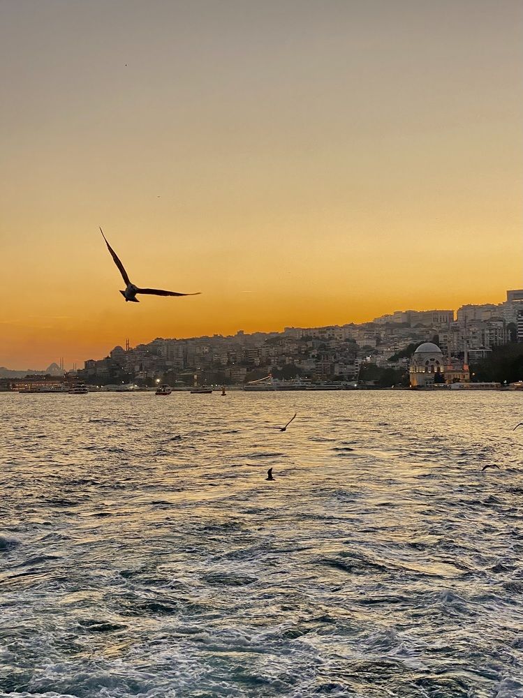 Photograph by Ирина Сорока