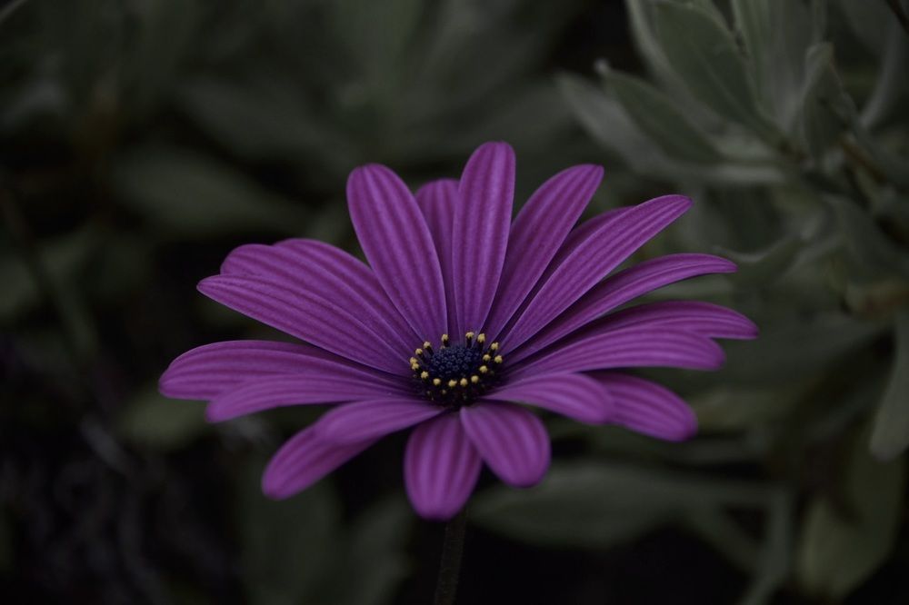 Photograph by Manav Shah