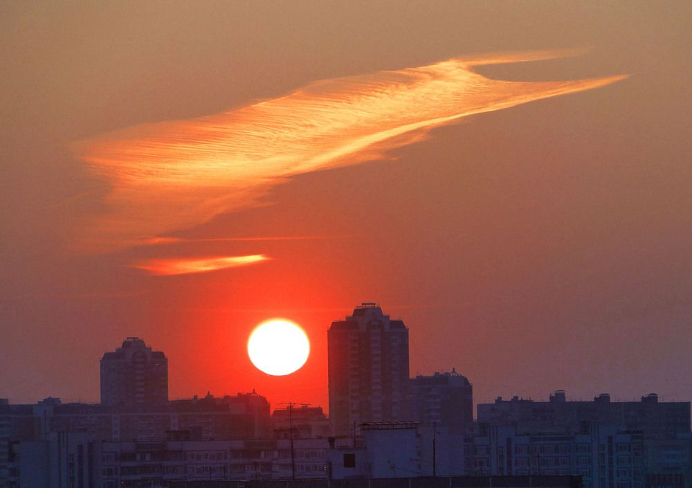 КЛАДОВАЯ СОЛНЦА