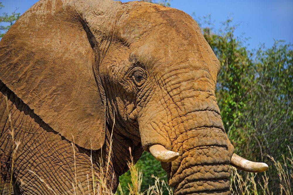 Photograph by Tanja Wolfaardt