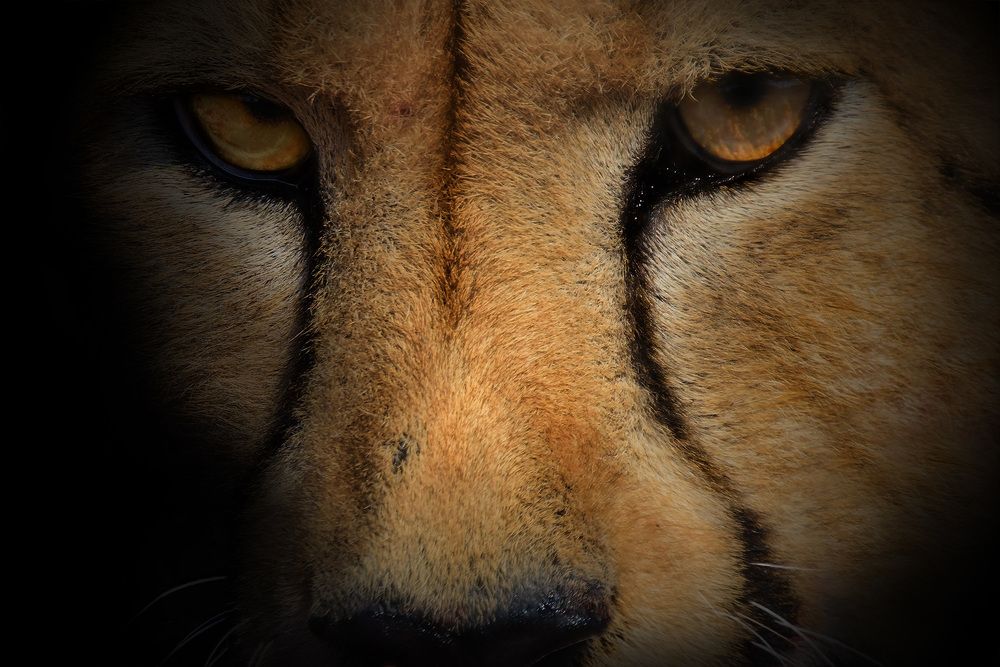 Photograph by Tanja Wolfaardt