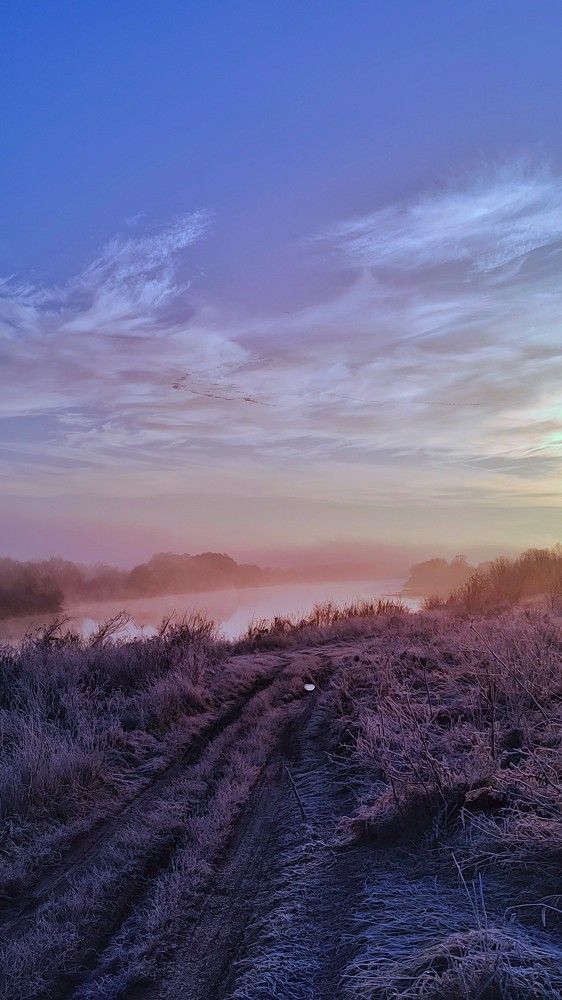 Черничное утро