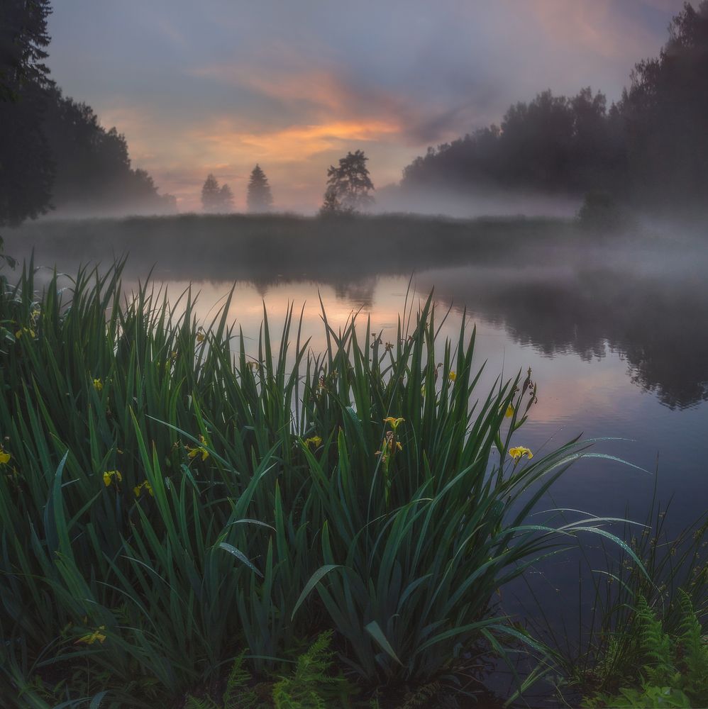 Photograph by Щепотина Татьяна