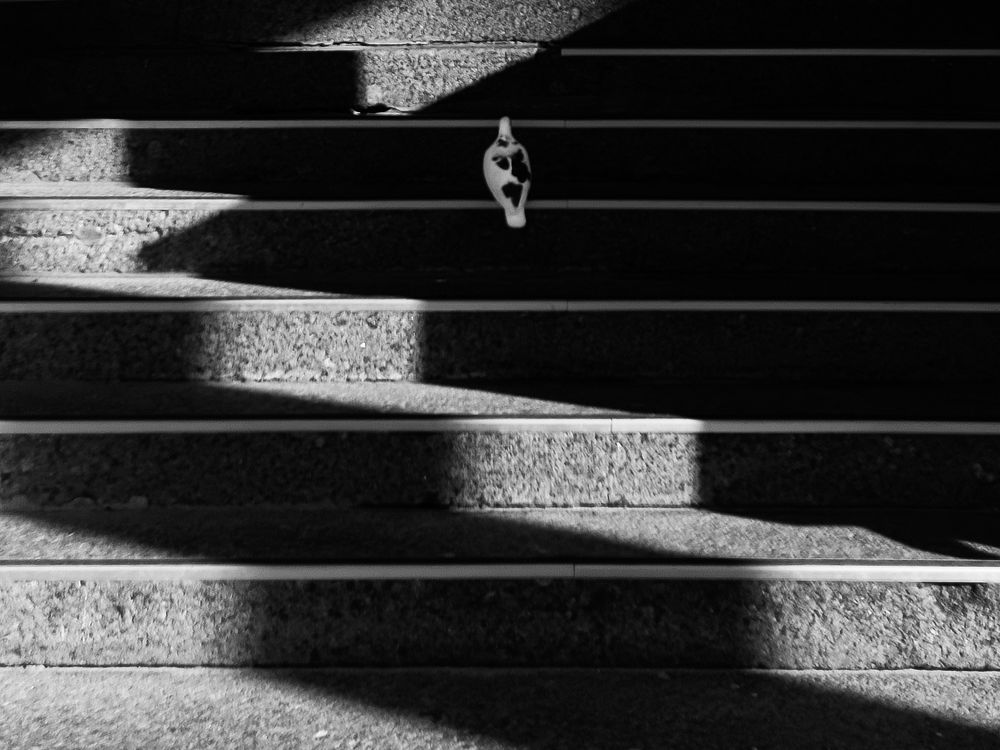 Photograph by Евгения Стриженова