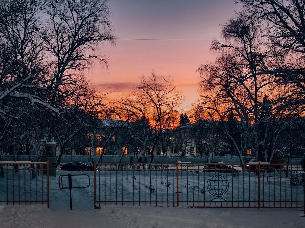 Photograph by Elena Kilina