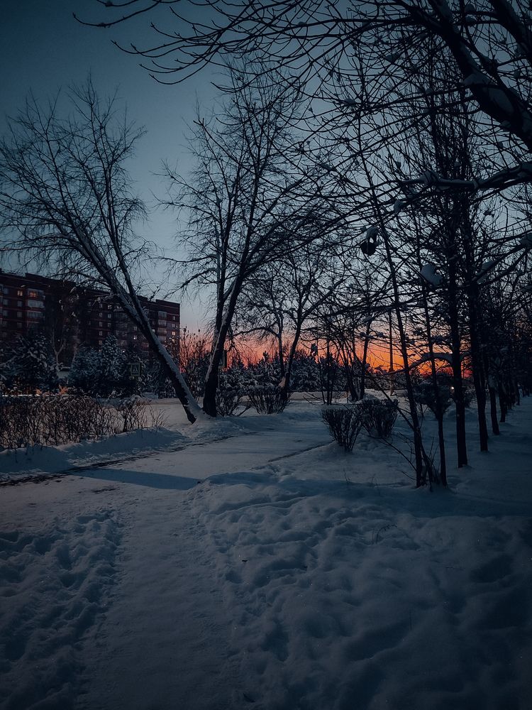 Photograph by Elena Kilina