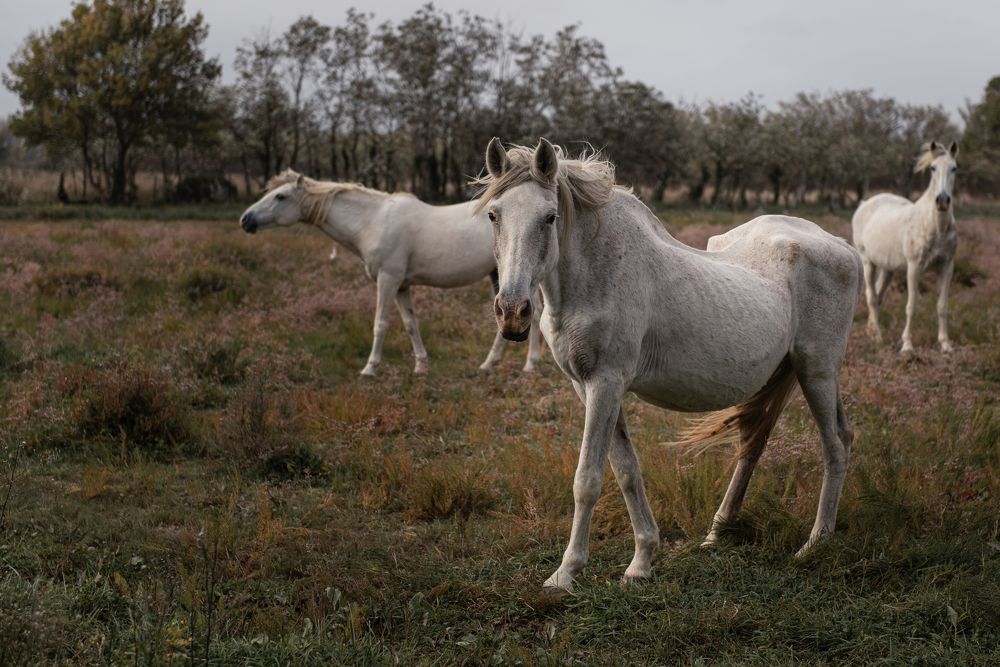 Photograph by Evgeniya Stafeeva