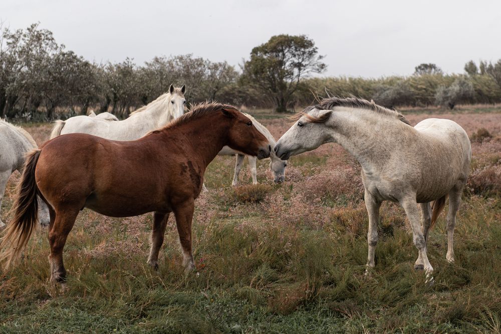 Photograph by Evgeniya Stafeeva