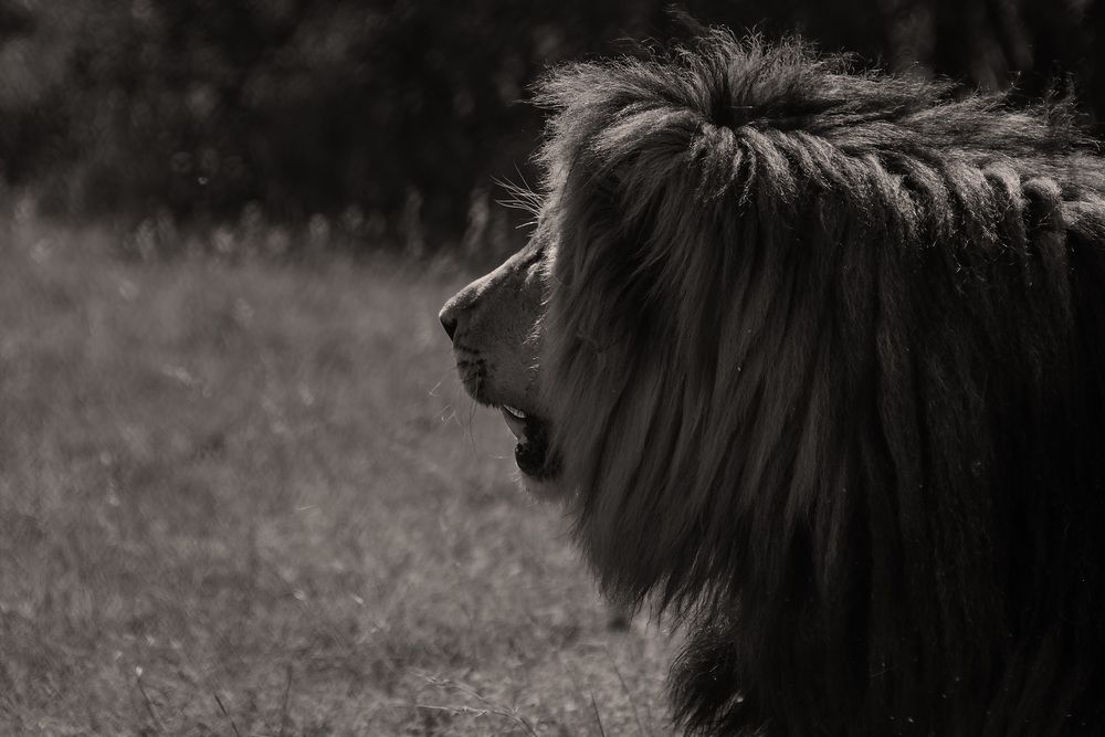 Photograph by Tanja Wolfaardt