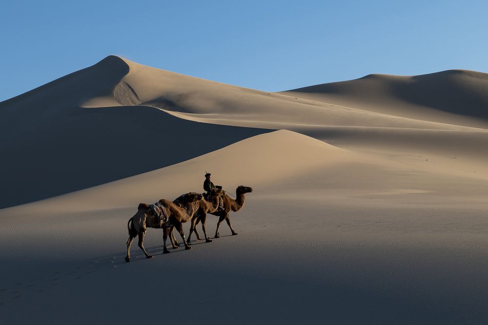 К солнцу, к свету...