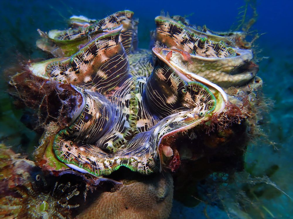 Photograph by Дмитрий Челноков