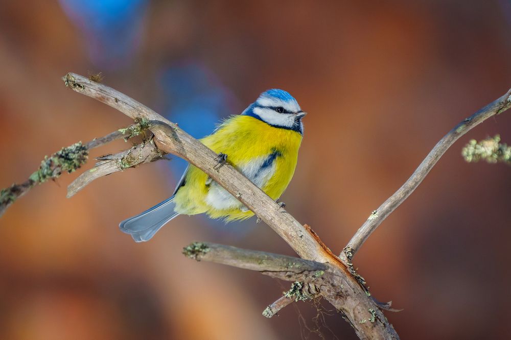 Photograph by Труханов Илья