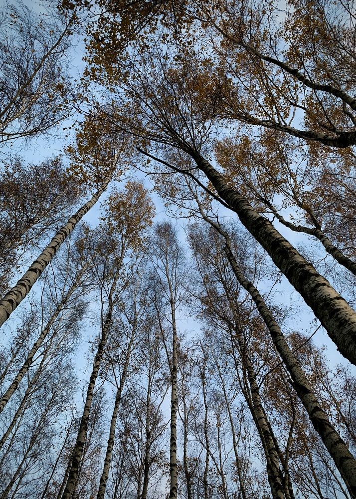 Photograph by Надежда Смирнова