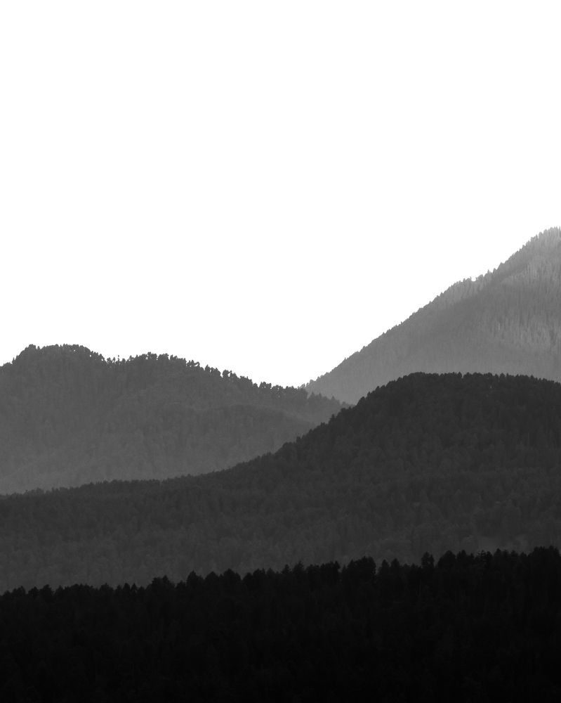 Photograph by Basit Manzoor