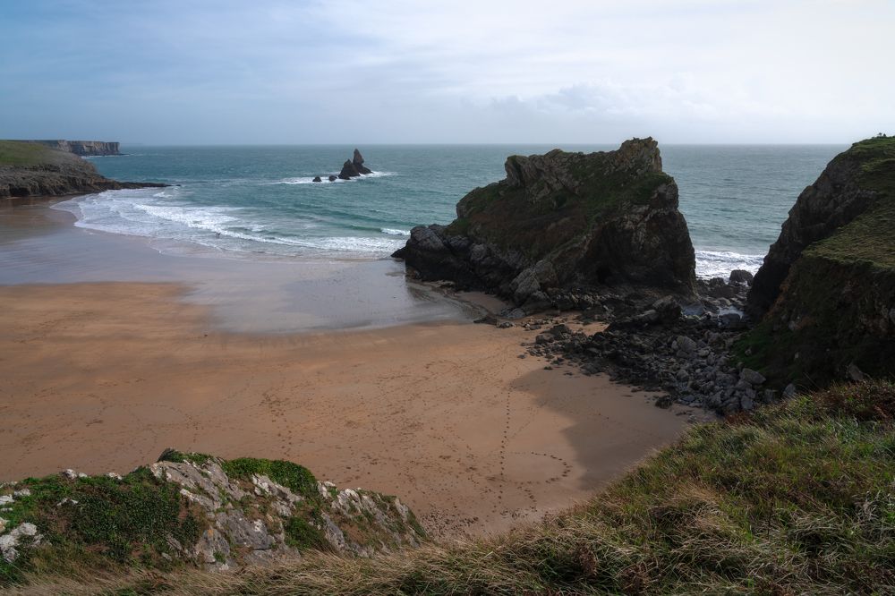 Photograph by Andy Fowlie