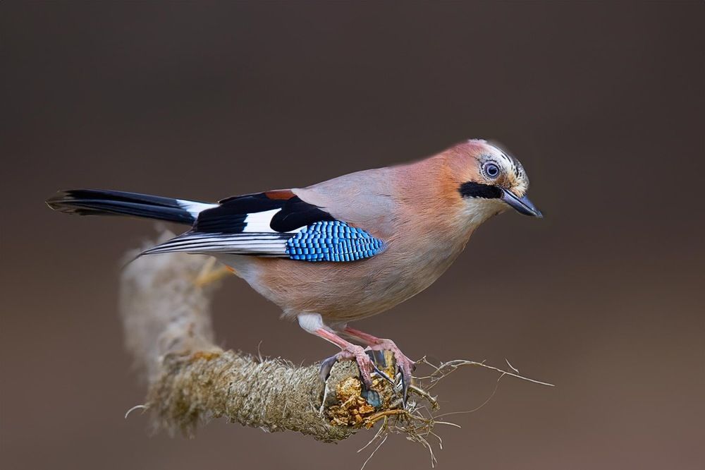 Photograph by Игорь Устинов