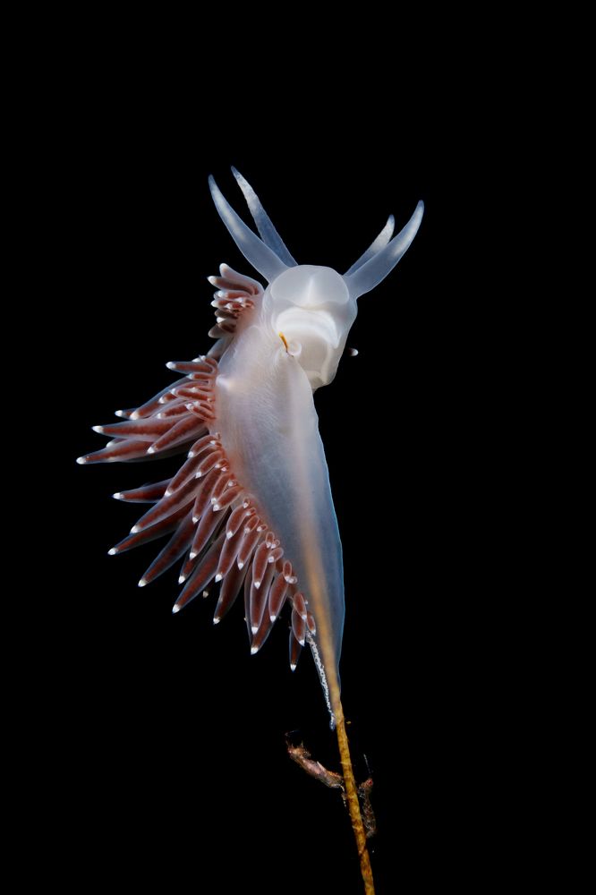 Photograph by Труханов Илья