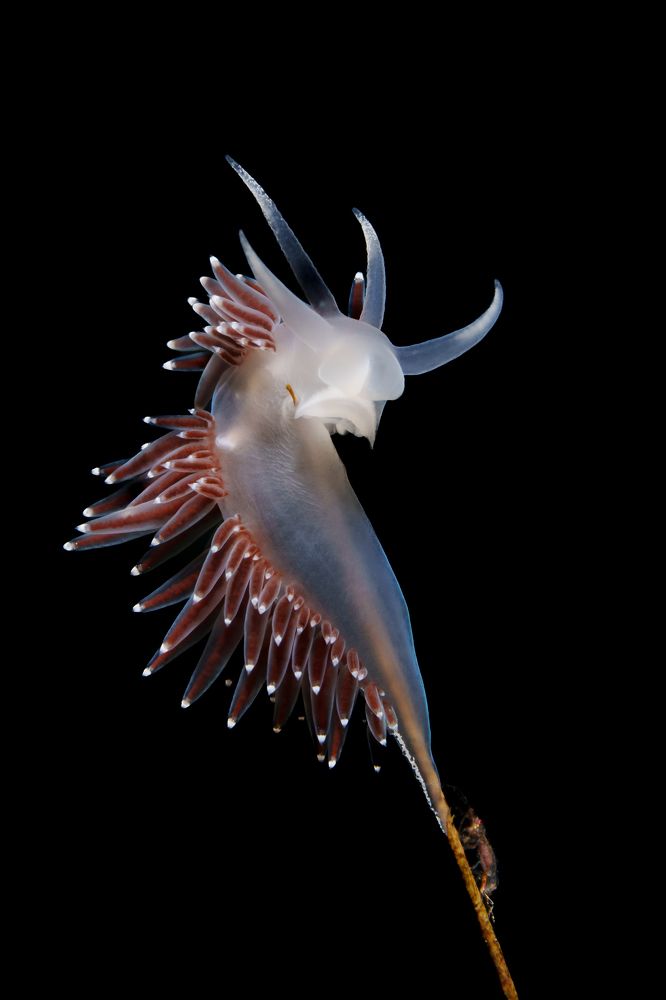 Photograph by Труханов Илья