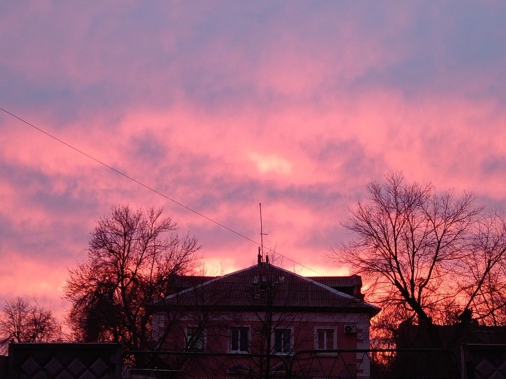 Photograph by Евгения Горячева