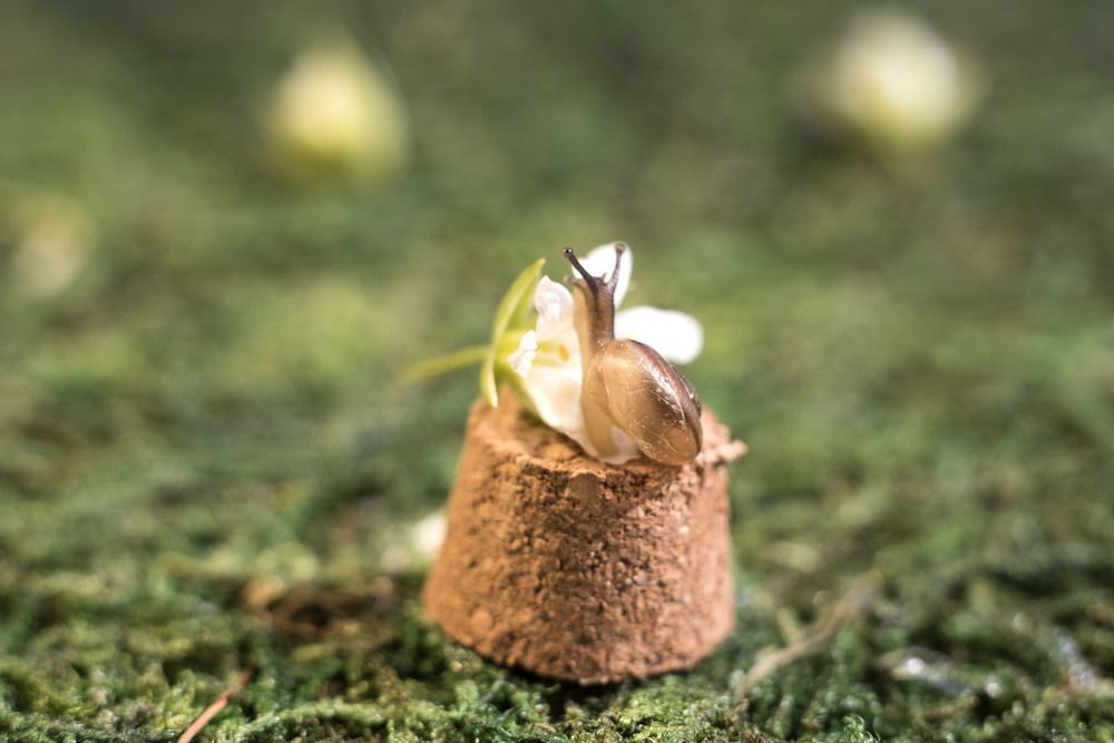 Фотография автора Анастасия Павловна