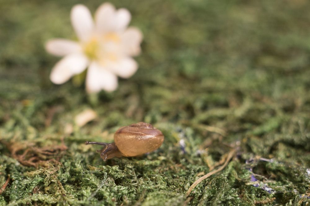 Фотография автора Анастасия Павловна