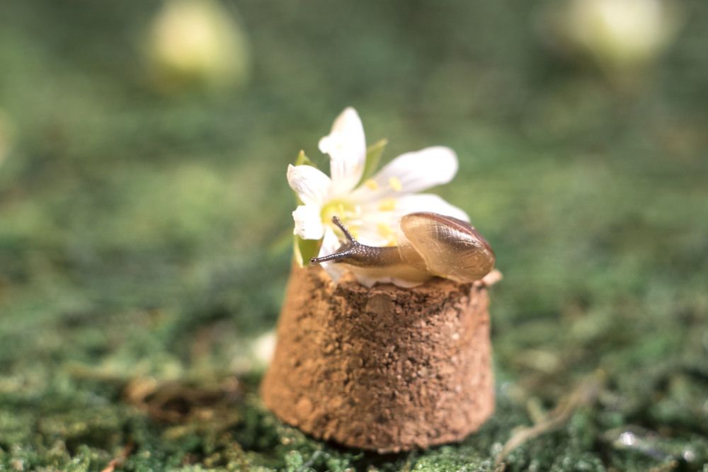 Фотография автора Анастасия Павловна