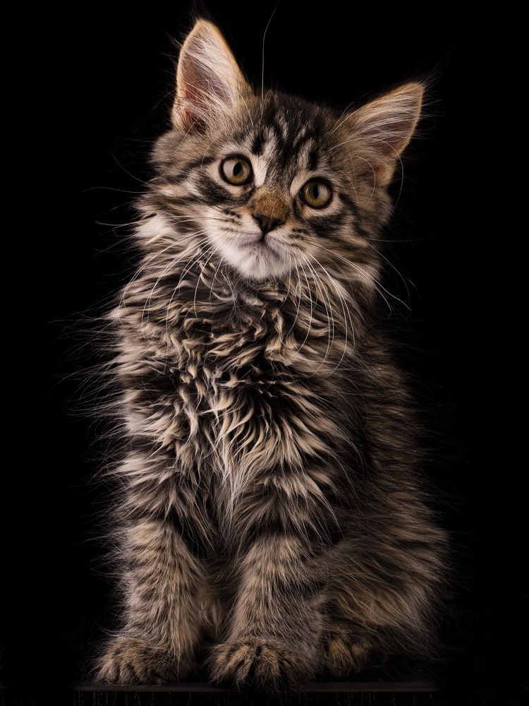 Photograph by Sergei Baltaev