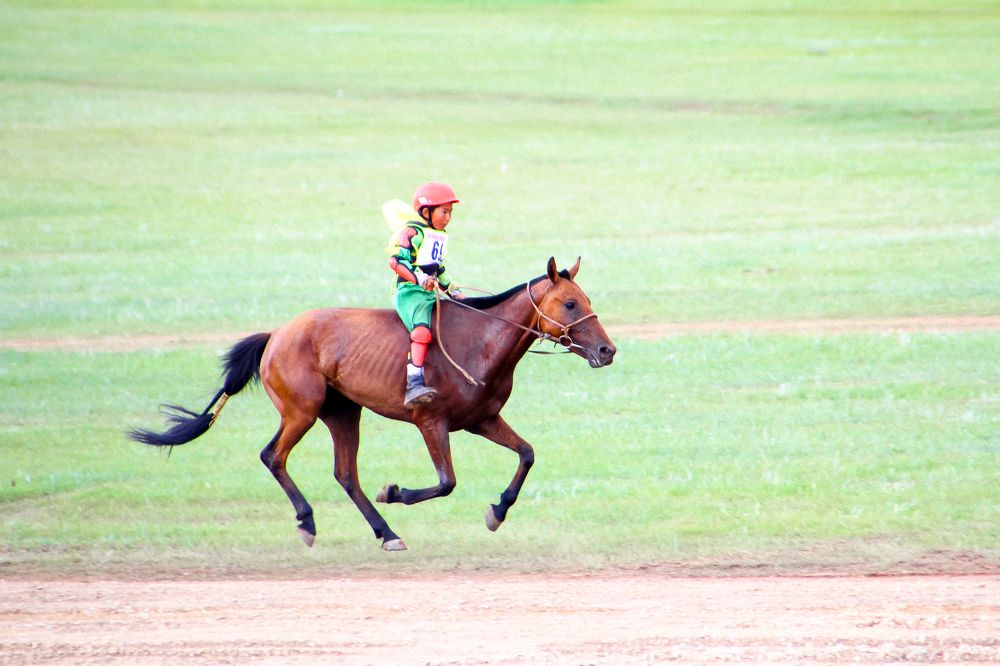 Faster than the wind