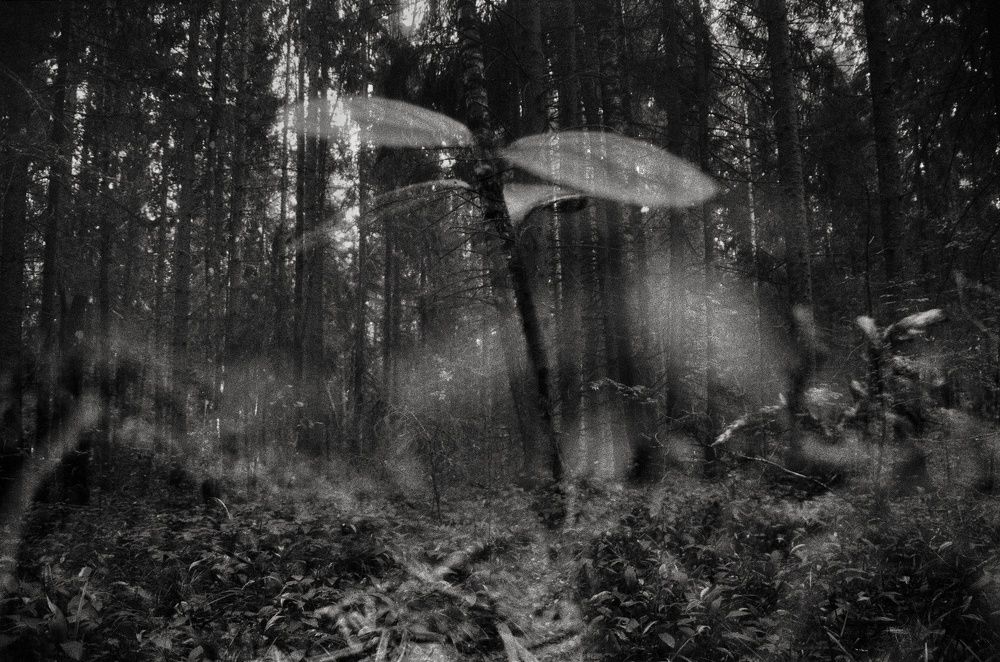 Photograph by Дмитрий Долгалло