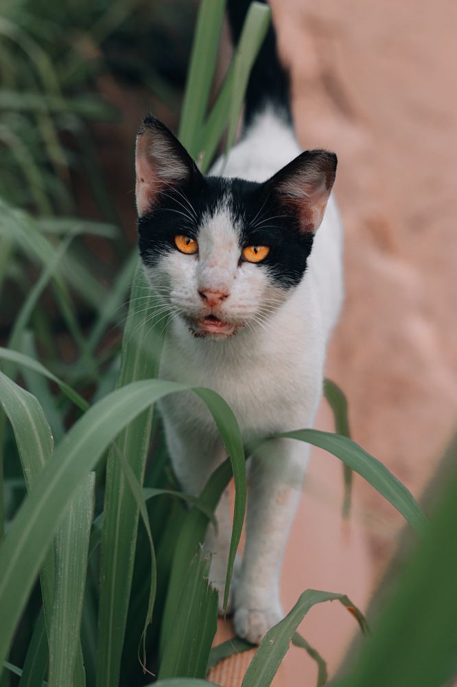 Photograph by Юлия Соболева