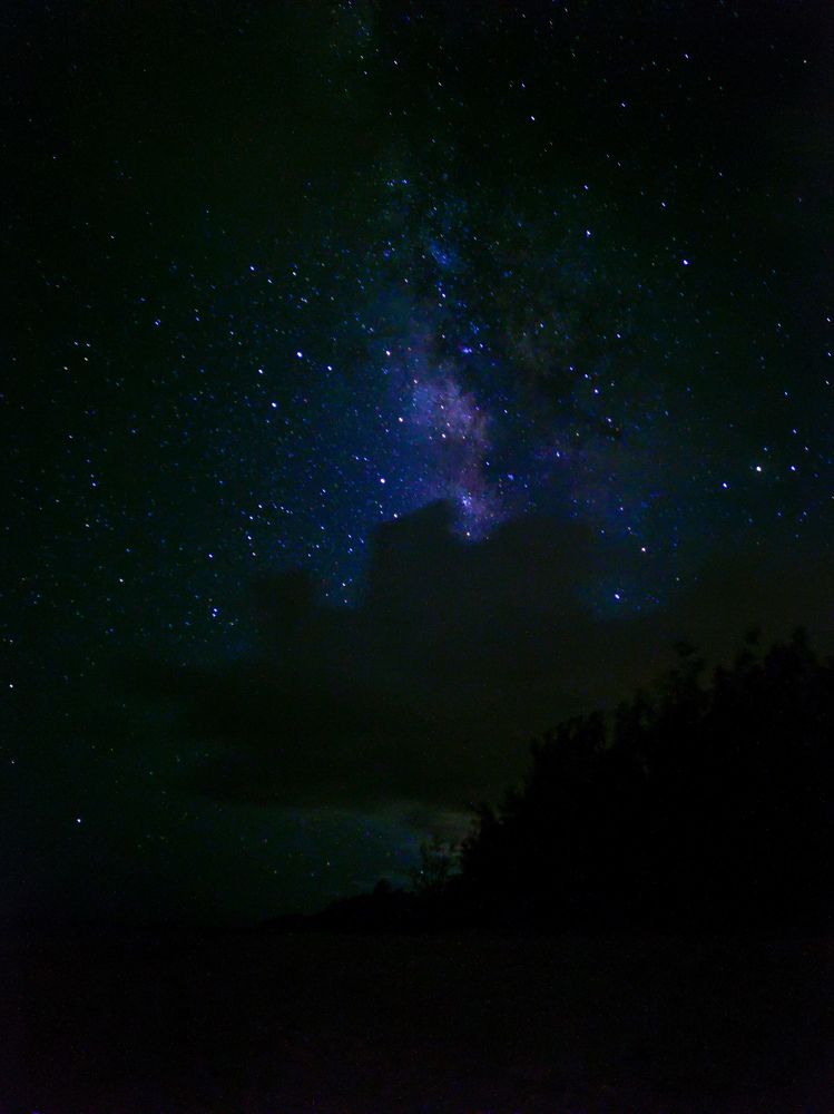 Photograph by Elza