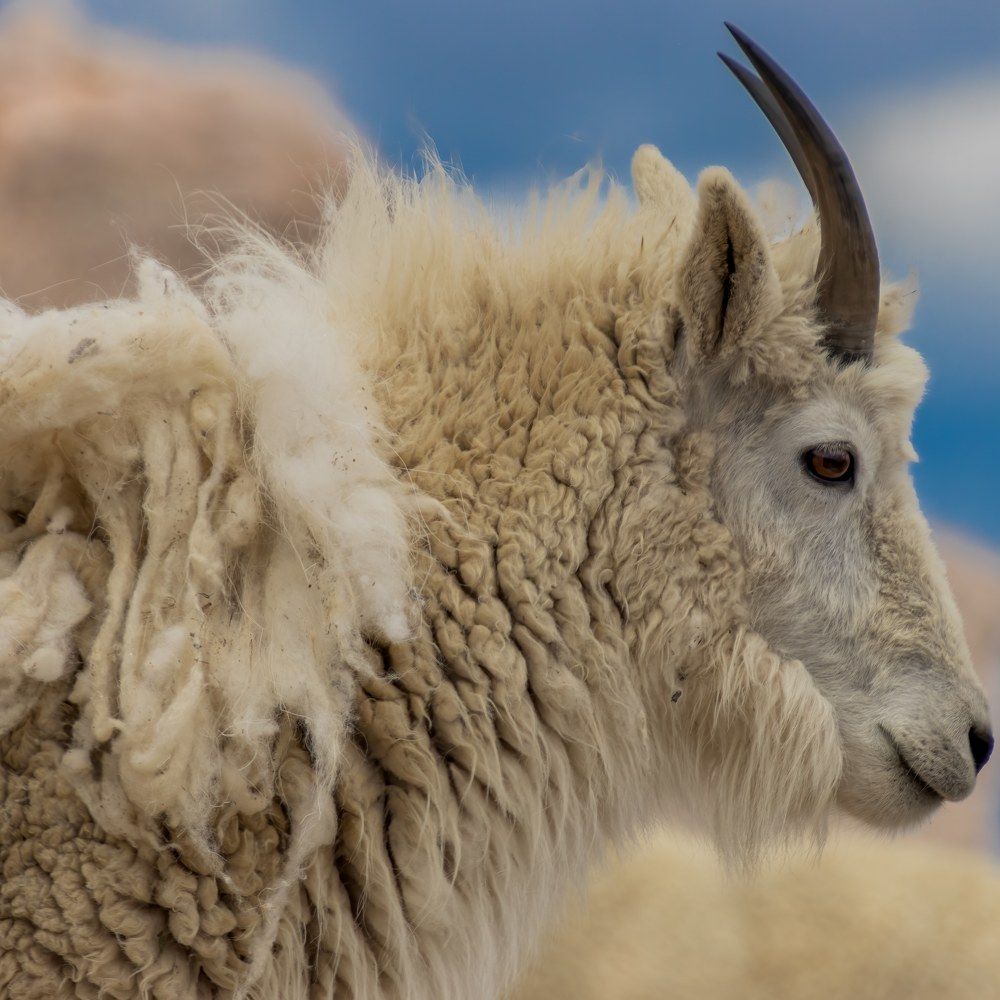 Photograph by Elaina Holland