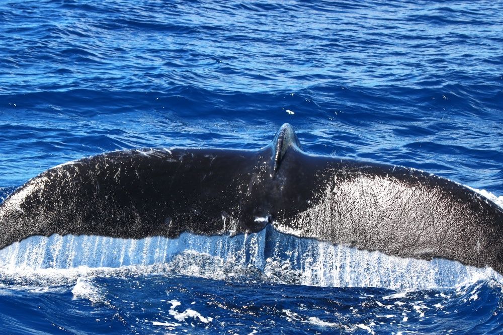 Photograph by Elaina Holland