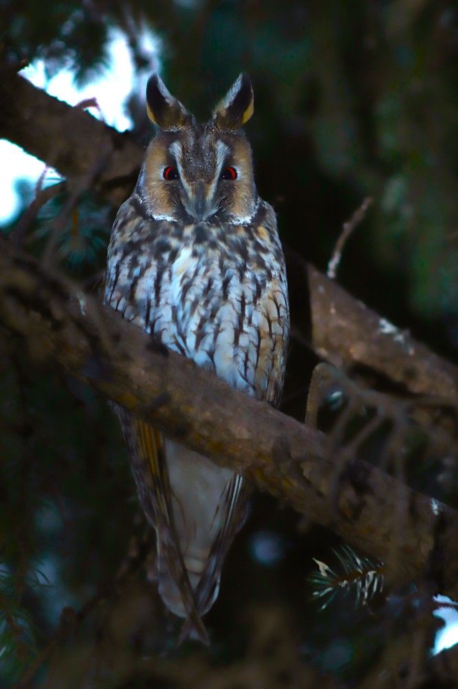 Фотография автора Михаил Лупина