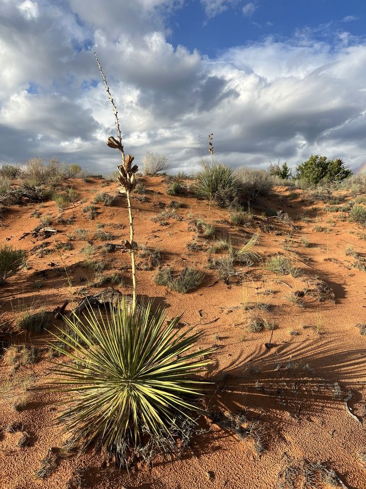 Photograph by Yuliya Trints