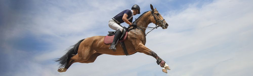 Фотография автора Владимир Пронин